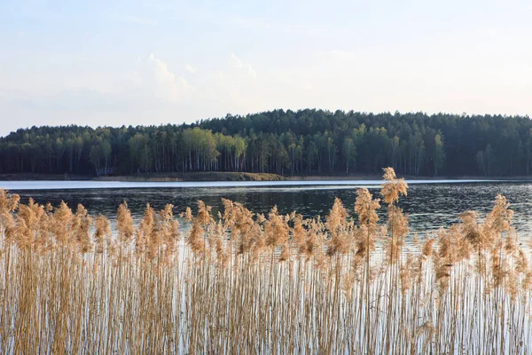 Jezioro virintai wieczorem — Zdjęcie stockowe