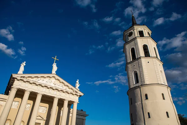 Katedralen i vilnius — Stockfoto