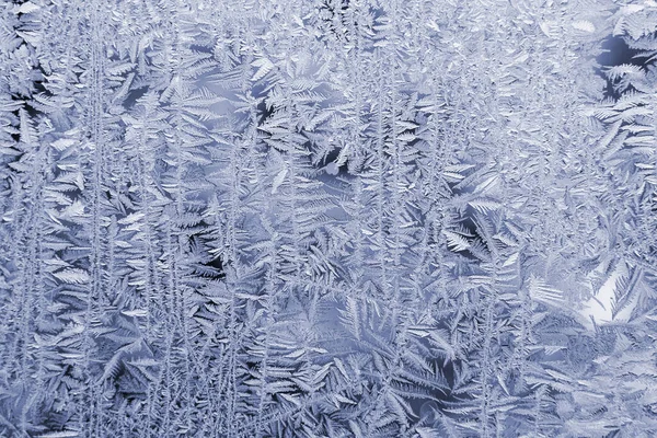 Die Blumen Des Frosts Fenster — Stockfoto