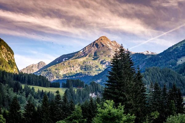 Avusturya 'daki Grossglockner dağları vadisi. Sabah erkenden