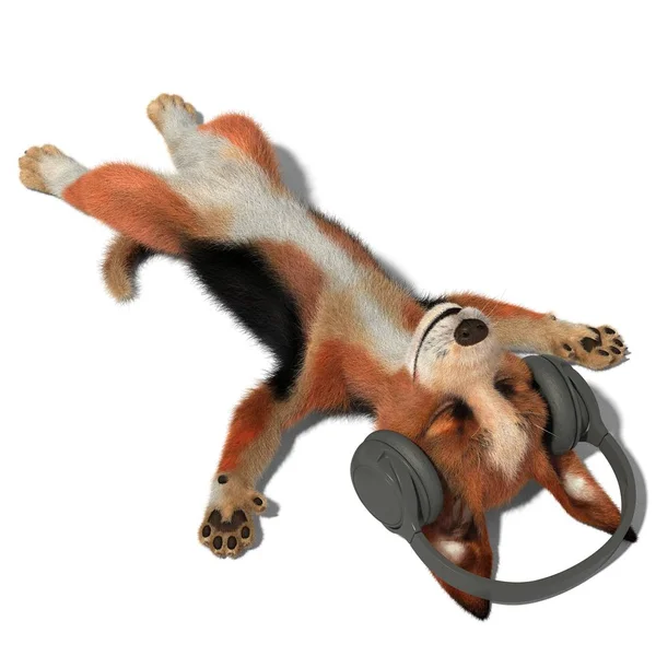 Dog listening to music in headphones — Stock Photo, Image
