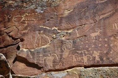 New Mexico vahşi doğada petroglifler. 