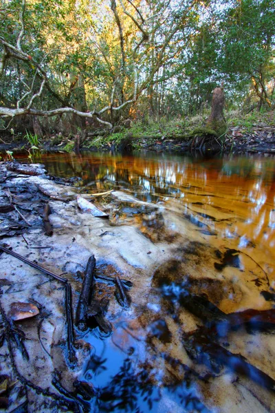 Sandy Creek Central Florida Manzara Akan — Stok fotoğraf