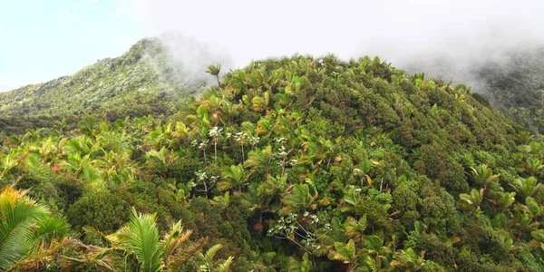 Vista Paisagem Porto Riquenha Yunque Peak — Fotografia de Stock