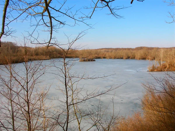 Vista Invierno Clear Lake Congelado Parque Estatal Kickapoo Illinois —  Fotos de Stock