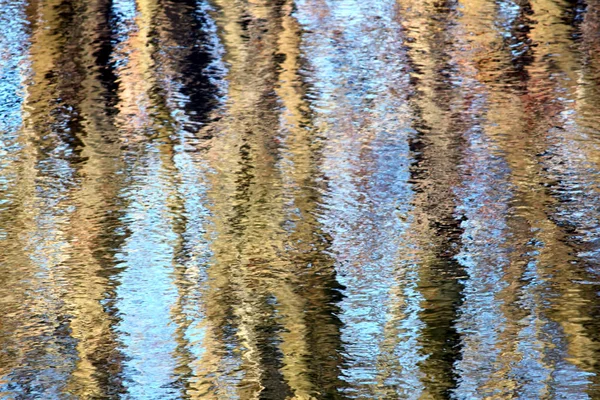 Árvores Refletem Superfície Rio Kishwaukee Norte Illinois — Fotografia de Stock