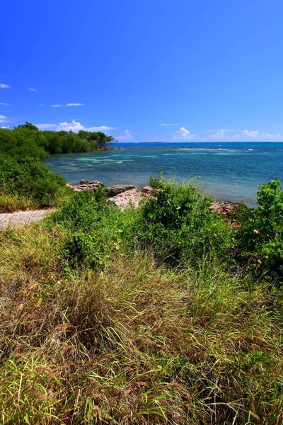 波多黎各 Guanica 旱地森林保护区的加勒比海岸线 — 图库照片