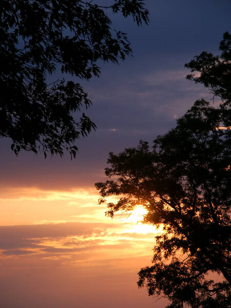 Beautiful Midwest sunset with silhouetted oak trees