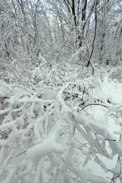 冬季仙境在岩石切在伊利诺伊州的州立公园 — 图库照片