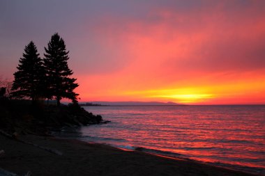 Northwoods Michigan günbatımı kapağının canlı pembe renkler tarafından kontrast çam ağaçları.
