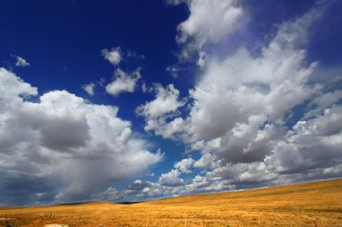 Parlak güneş ışığı altında aydınlatılmış ve tepelerin Wyoming haddeleme