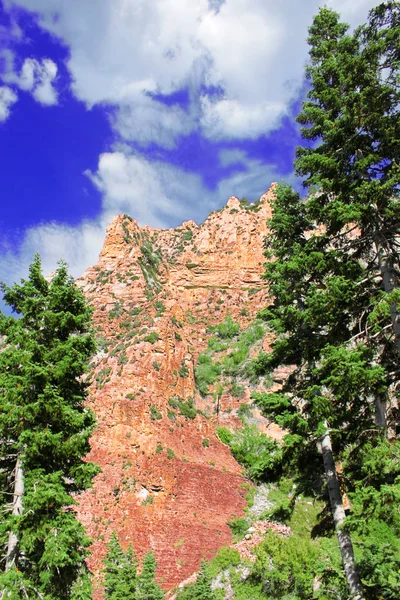 回声悬崖在内华达州的山泉山国家游乐区展示了一个纯粹的垂直落差 — 图库照片