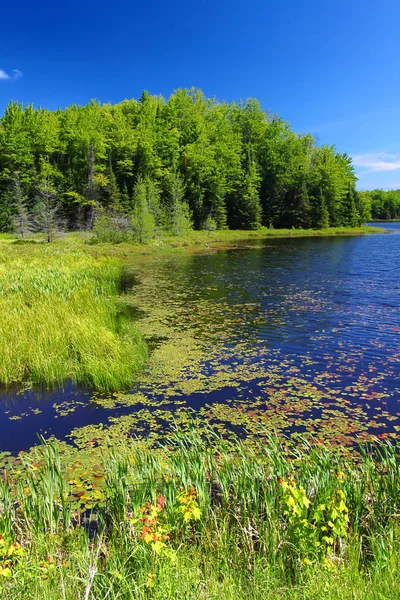 Lago Mabel Floresta Estadual Legião Americana Norte Wisconsin — Fotografia de Stock