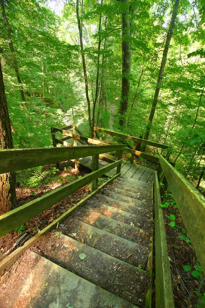 Escalier Menant Profond Canyon Dans Shades State Park Dans Indiana — Photo