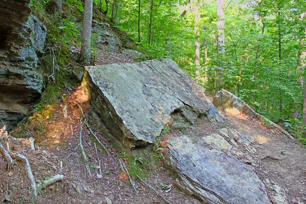 Kamenité Lesní Stráni Krajina Tishomingo State Park Severní Mississippi — Stock fotografie