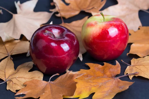 Herfst Appels Bladeren — Stockfoto