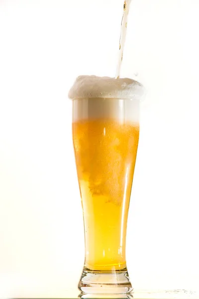 Cerveja Fundo Branco — Fotografia de Stock