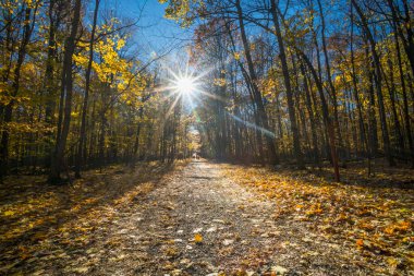 Sonbahar Günbatımı yol görünümü