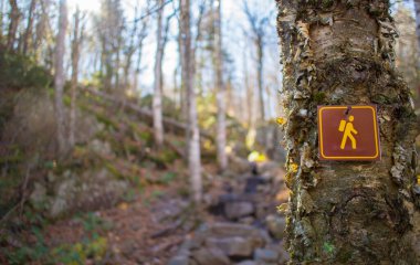 Hiking Path sign close up  clipart