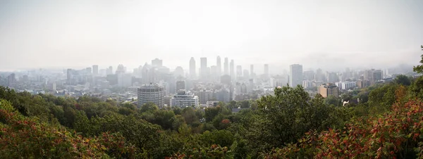 Mont Royal Look Out View — Stock Photo, Image
