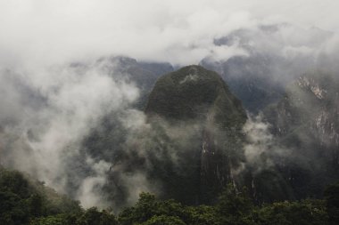 Ayrıntı vahşi Peru Machu Picchu Inca Kalesi çevresinde