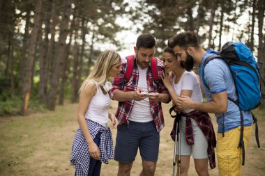 Bir grup genç insan bahar günü dağda hiking