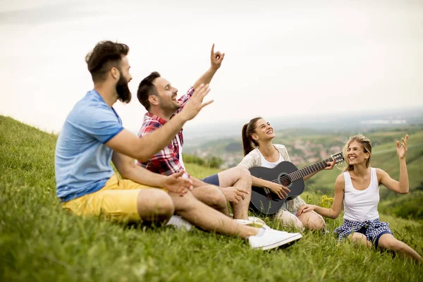 Group Young People Having Fun Trip Nature Mountains — Stock Photo, Image