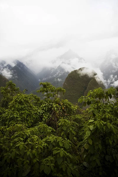 Détail Nature Sauvage Autour Citadelle Machu Picchu Inca Pérou — Photo