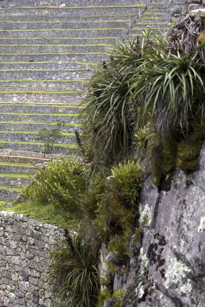 Detail Der Steinmauer Von Machu Picchu Peru — Stockfoto
