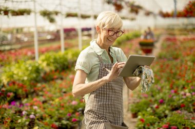 Çiçek bahçesinde tablet kullanarak kadın kıdemli portresi