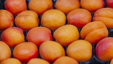 Grup yerel pazardaki taze organik kayısı