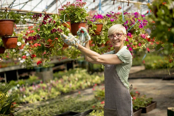 Porträt Einer Glücklichen Seniorin Die Großen Blumengarten Steht Und Sprüher — Stockfoto