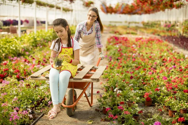 Two Playful Florist Enjoying Work While One Them Riding Cart — Stock Photo, Image