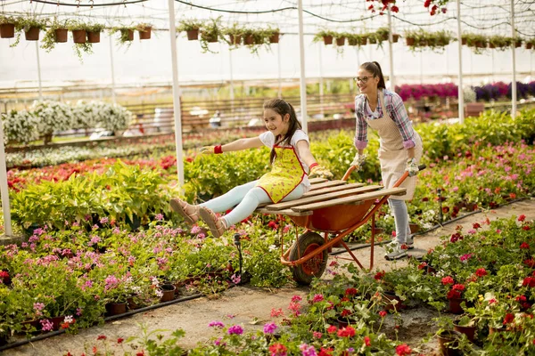 Two playful florist enjoying work while one of them riding in the cart in the greenhouse