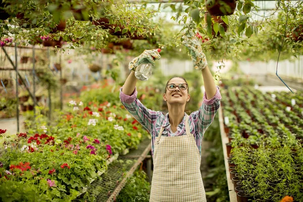 Mujer Joven Bonita Trabajando Con Flores Primavera Invernadero — Foto de Stock