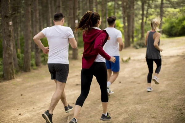 Fuss Egy Maratont Erdőn Keresztül Fiatalok Csoportja — Stock Fotó