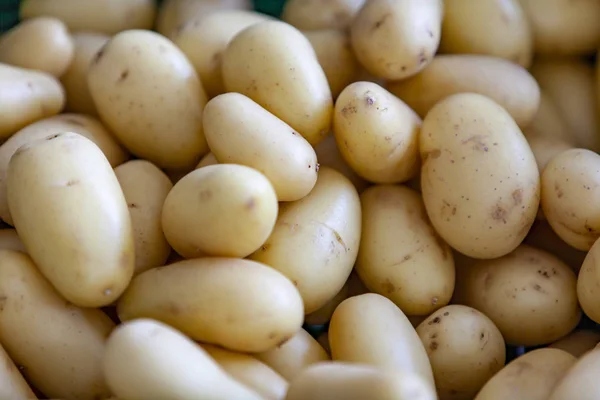 Grupp Färska Ekologiska Potatis Marknaden — Stockfoto