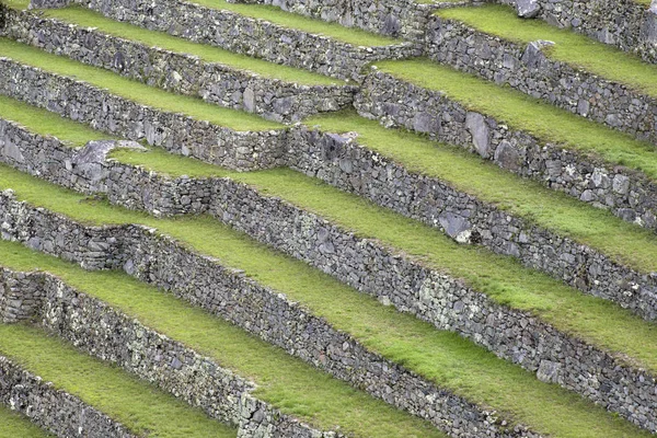 View Green Terraces Machu Picchu Peru — Stock Photo, Image