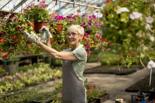 Retrato Feliz Florista Senior Mujer Pie Uso Pulverizador Gran Jardín — Foto de Stock