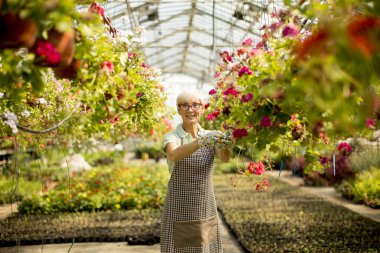 Greengarden çiçekler hakkında çalışan üst düzey kadın, görüntüleme