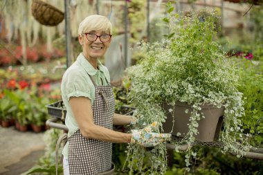 Greengarden içinde çalışan üst düzey kadın portresi