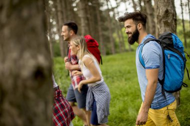 Bir grup genç insan bahar günü dağda hiking