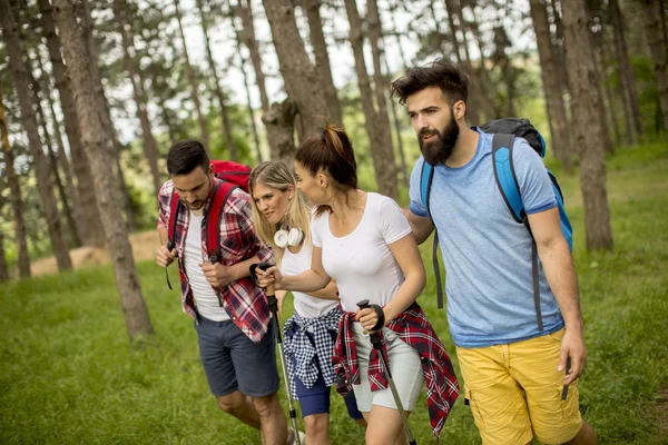 Bir Grup Genç Insan Bahar Günü Dağda Hiking — Stok fotoğraf