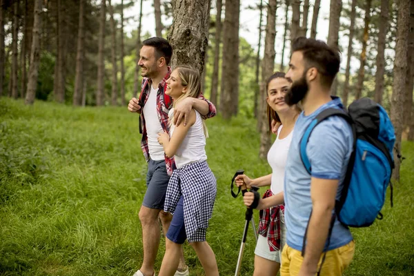 Groep Jongeren Zijn Wandelen Berg Lente — Stockfoto