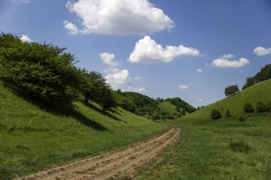 Zagajica hills Sırbistan, bir yaz günü, güzel manzara