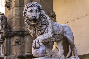 Detay Medici Floransa, İtalya'dan aslan