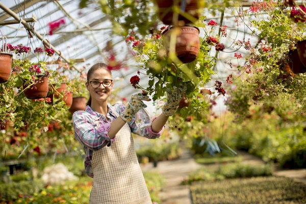 Jolie Jeune Femme Travaillant Avec Des Fleurs Printemps Dans Serre — Photo