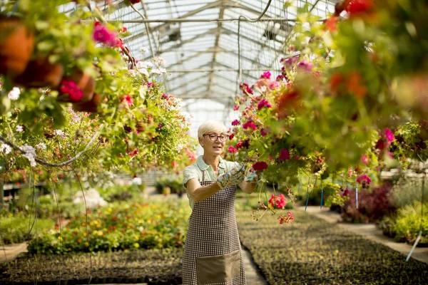 Blick Auf Seniorin Die Über Blumen Garten Arbeitet — Stockfoto