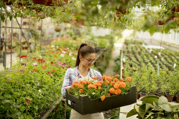 一个漂亮的年轻女子拿着一个盒子 满是春天的花朵在温室里 — 图库照片