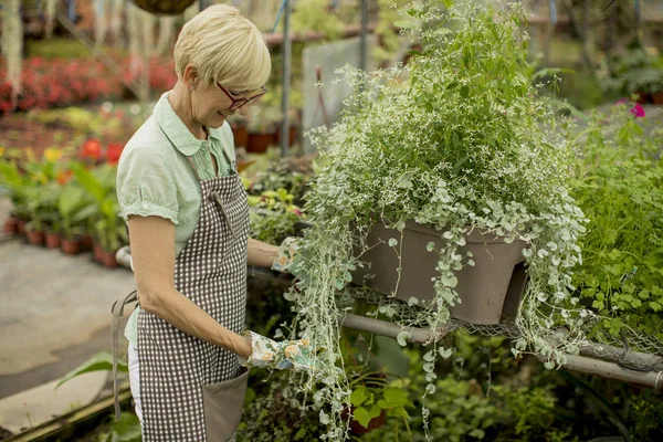 Retrato Una Mujer Mayor Trabajando Greengarden — Foto de Stock